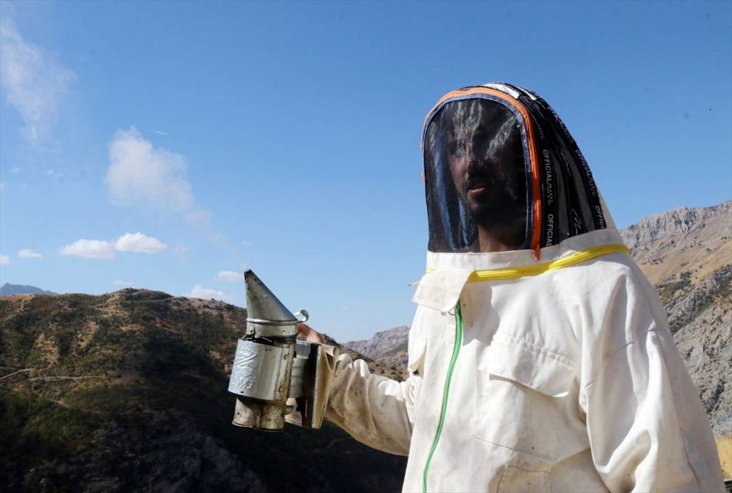 Terörün susturduğu köy, arılarla tekrar hayat buldu 7